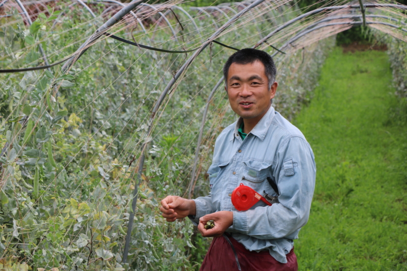 Seki working in the fields as part of sustainable beer production in Japan