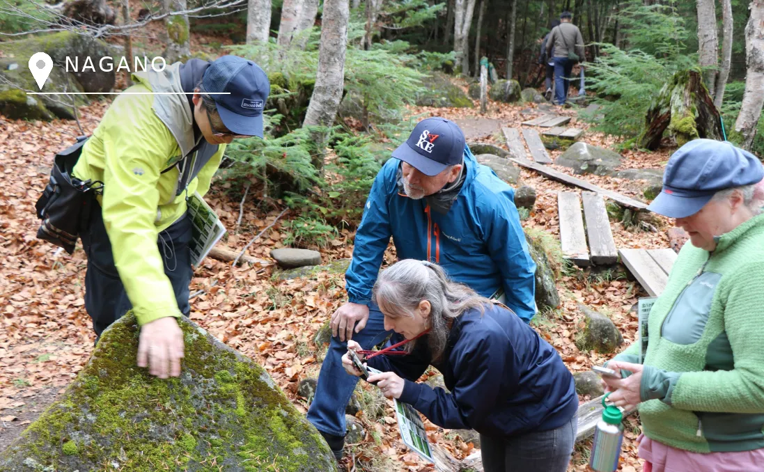 Walk Through a Moss Paradise with a Specialist