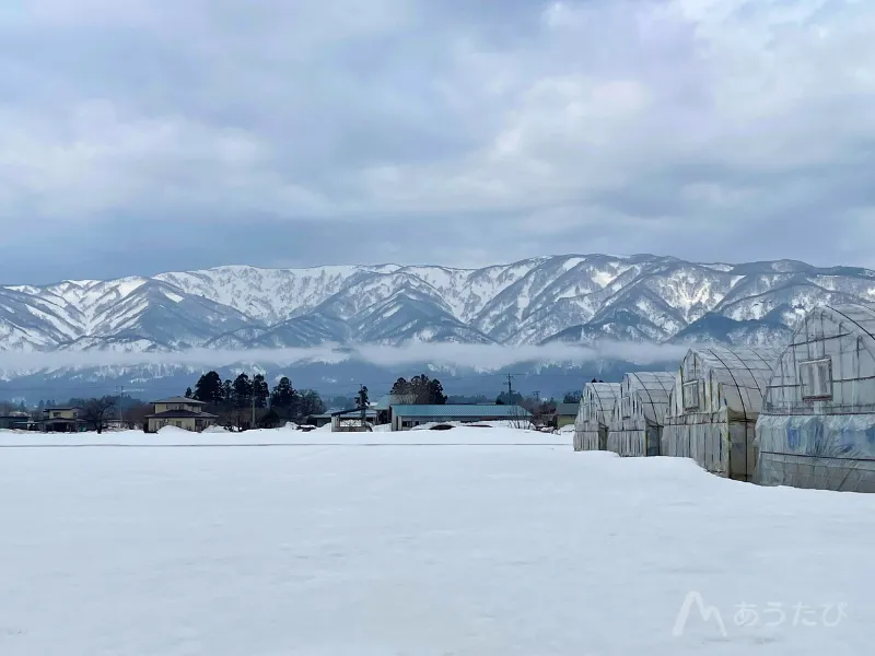 Daisuke Suzuki restarting sake brewing in Nagai, Yamagata