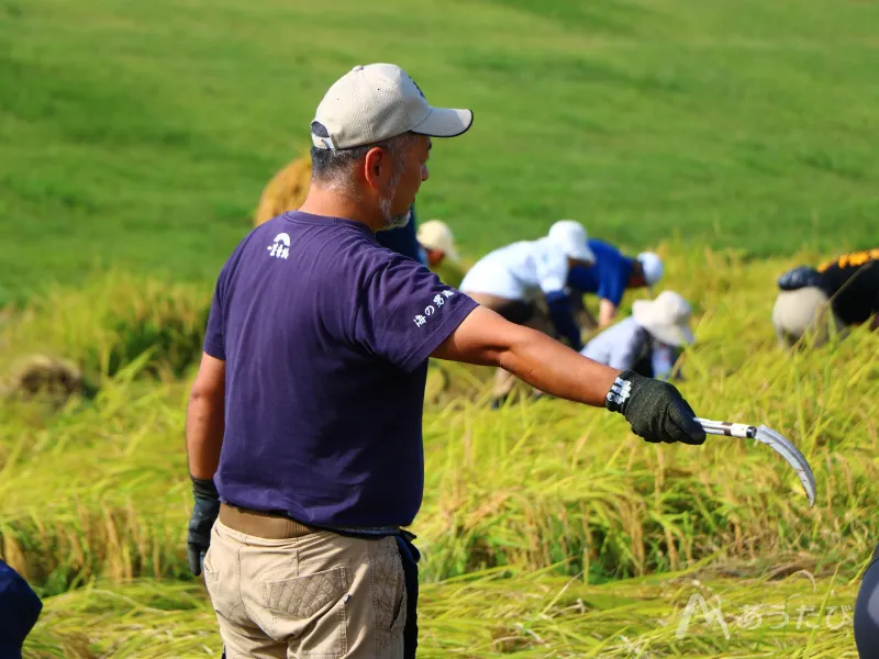 Yomigaeru sake made to symbolize recovery after the disaster