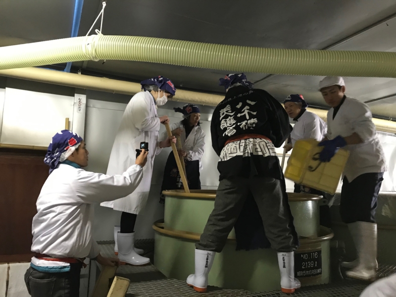 Sake brewing process in progress