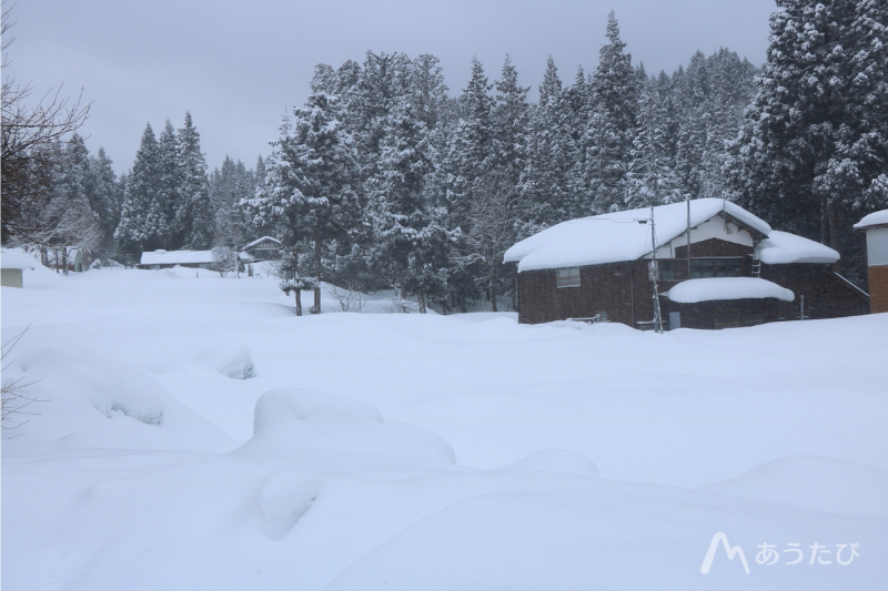 Misako Takahashi early life and career in Tokyo and food industry