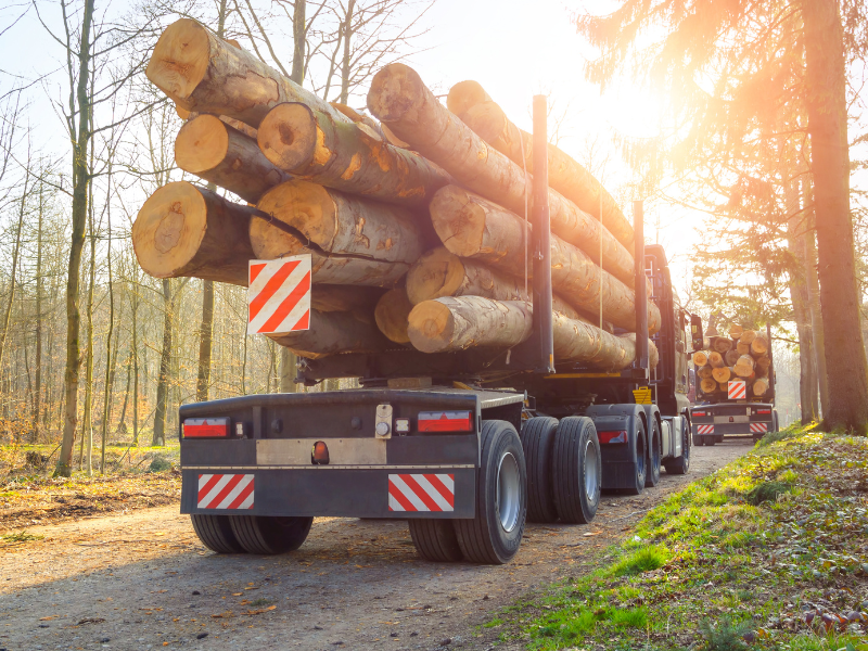 Timber loaded onto a large truck in rural Japan