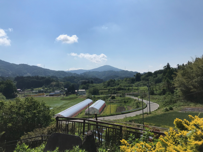 View of greenhouse and fields from Seki’s home