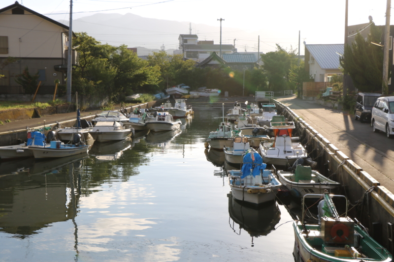 Fishing boats lined up at a harbor