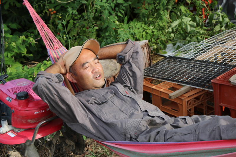 Suzuki relaxing in a hammock