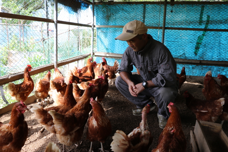Suzuki with chickens on his farm