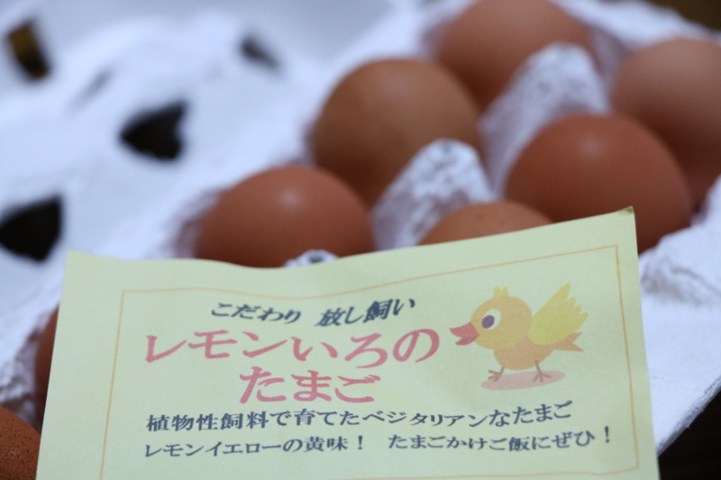 Fresh eggs collected from the farm