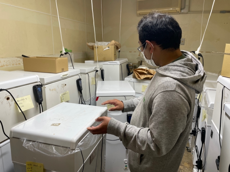 Iwami Method craft beer brewing using plastic bags and freezer