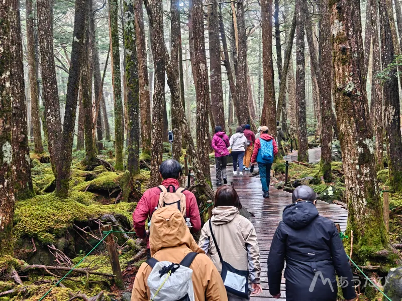 Seitaiso mountain hut surrounded by moss forest Japan