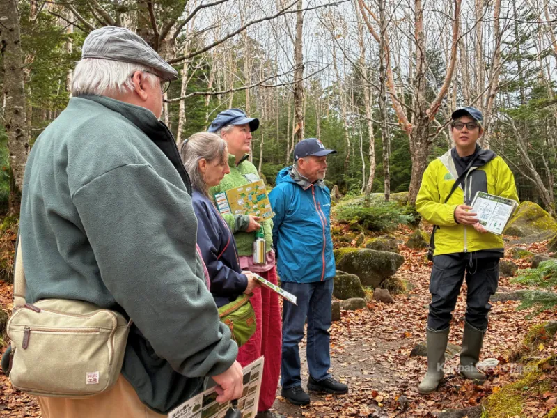 Yudai Yamaura at Seitaiso mountain hut in Japan’s moss forest