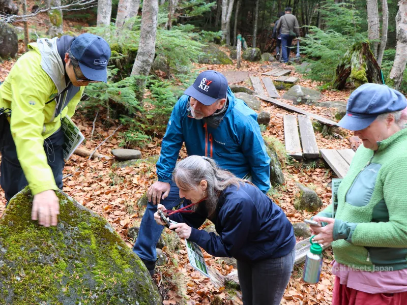 Yudai Yamaura at Seitaiso mountain hut in Japan’s moss forest