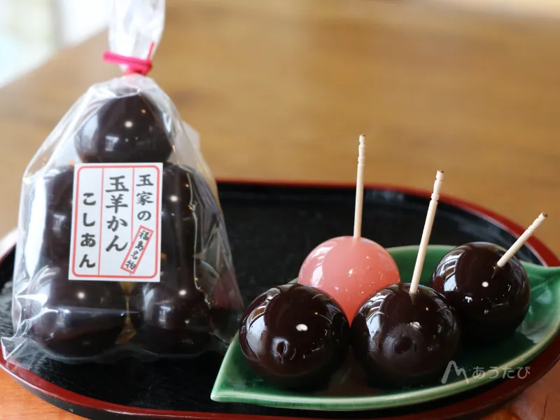 Tama Yokan, a signature wagashi sweet from Tamaya Gyokushindo